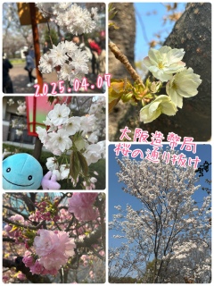 s̒ʂ蔲t