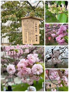 �s���̒ʂ蔲��2026�t